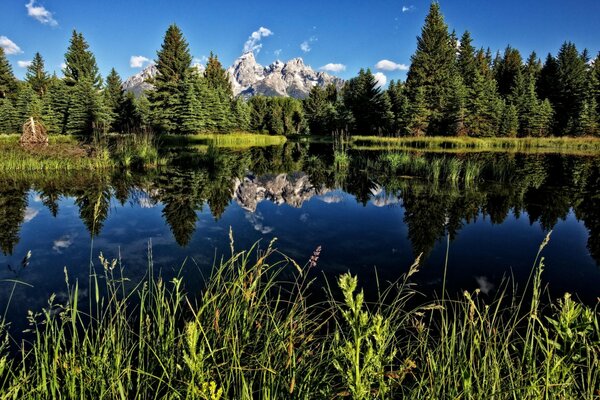 Lago Blu circondato da una foresta verde