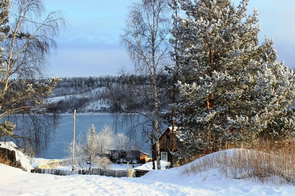 Winter Russian village with a tree