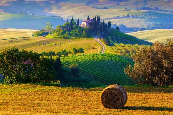 Ländliche Morgenlandschaft in Italien