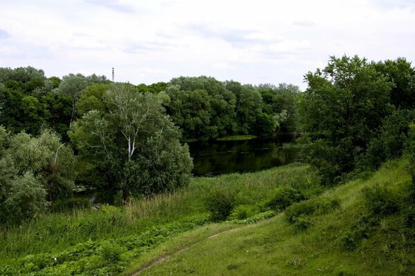 Dense green forest and deep lake