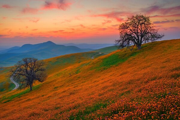 Le coucher de soleil a illuminé les collines en rouge