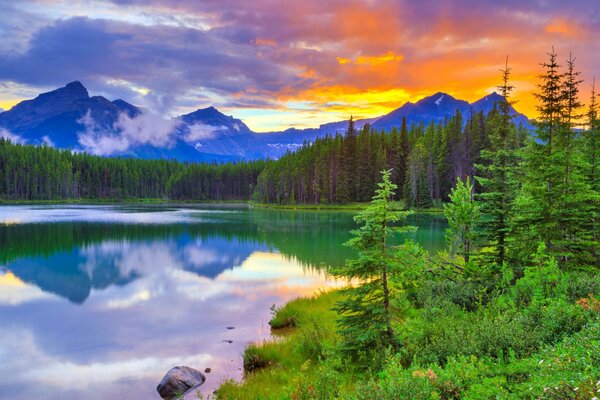 Magnifiquement combinaison de montagnes de la forêt du lac ciel et coucher de soleil