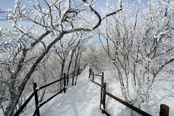 Frostiger Winter im Dorf bei Oma