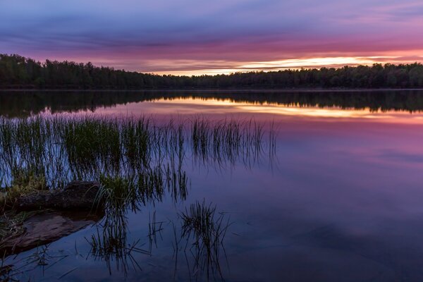 Paysage de miroir au coucher du soleil rose. L herbe est visible de l eau