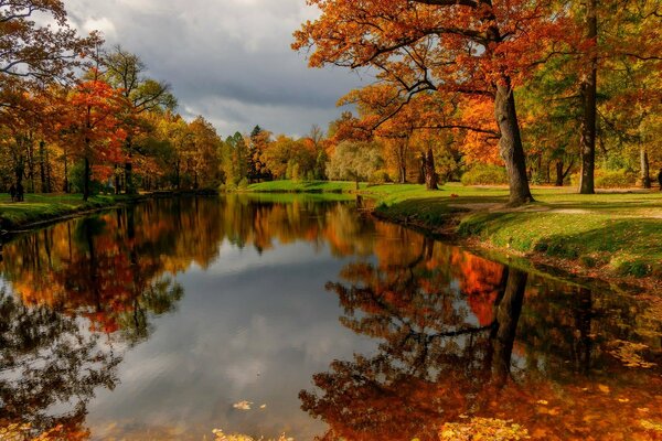 Otoño colorido en el parque junto al estanque