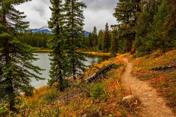 A path along the lake strewn with autumn leaves