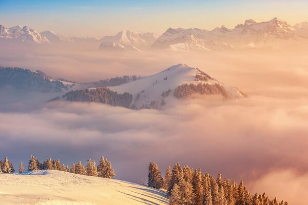 Brouillard dans les montagnes enneigées de Suisse