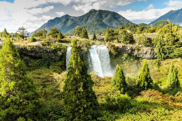 Green Christmas trees on the background of a waterfall and mountains