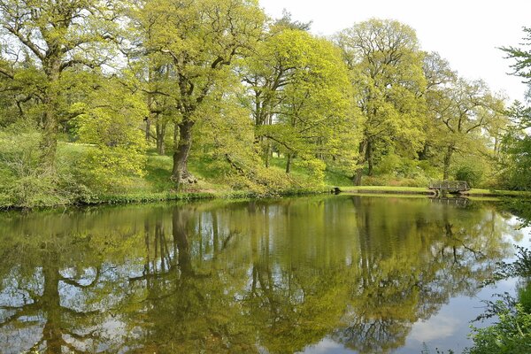 Park z zielonymi drzewami, rzeką i mostem