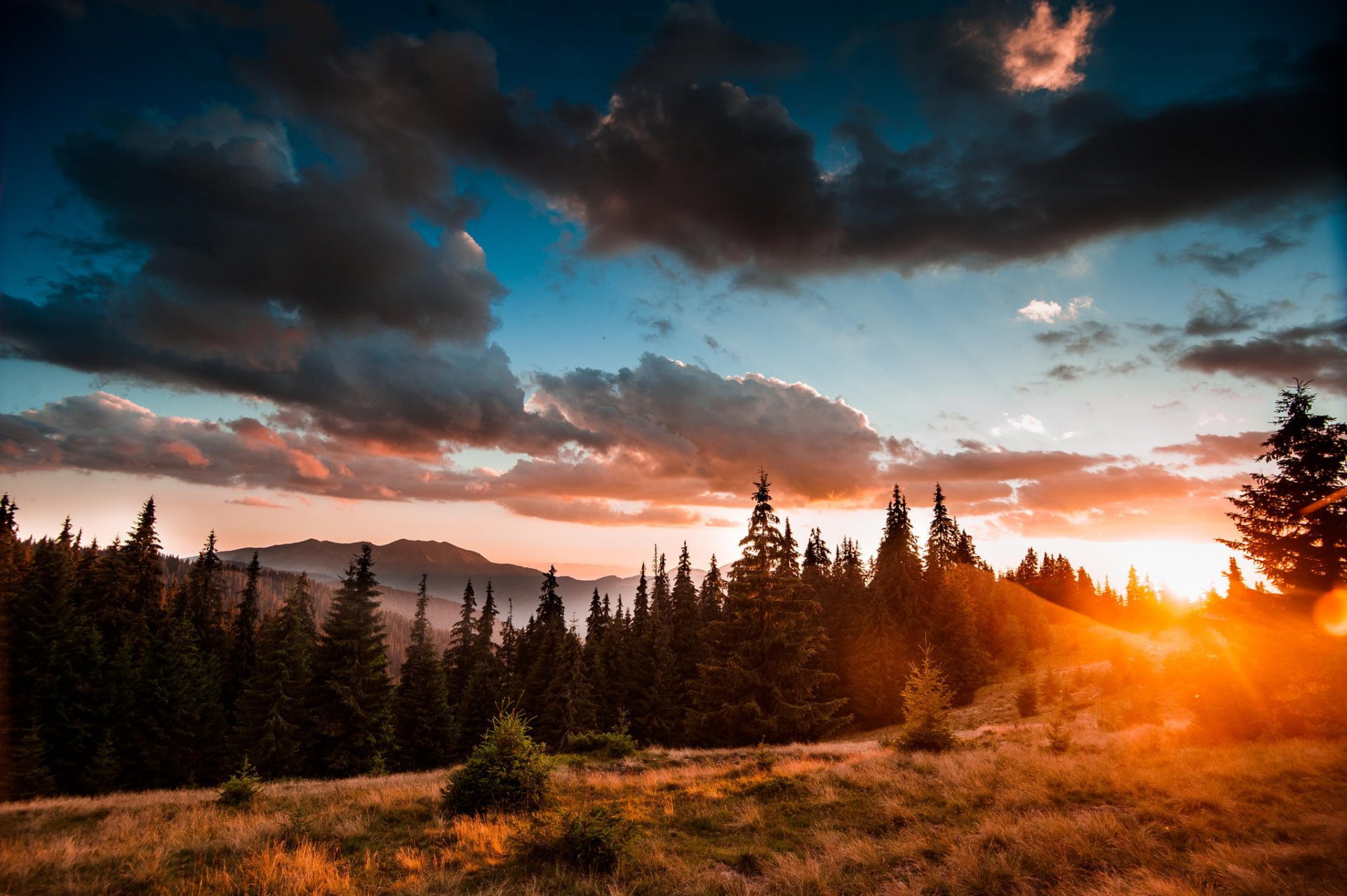 cárpatos ucrania bosque naturaleza paisaje belleza montañas