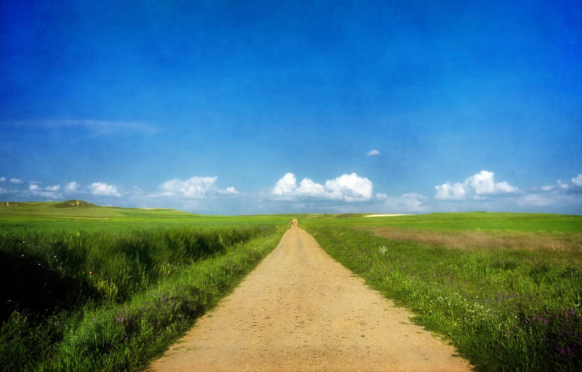 camino hierba verano soleado cielo nubes