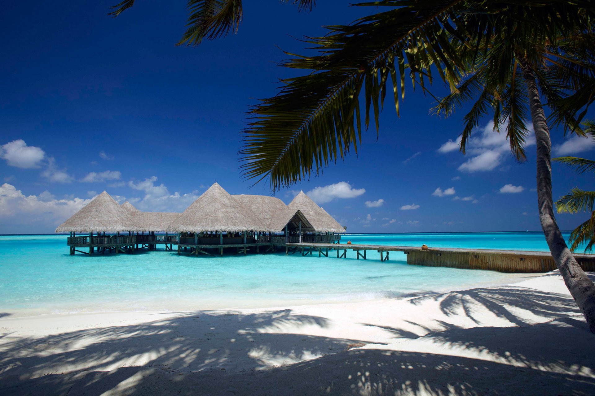 plage sable palmier océan bungalow ciel nuages