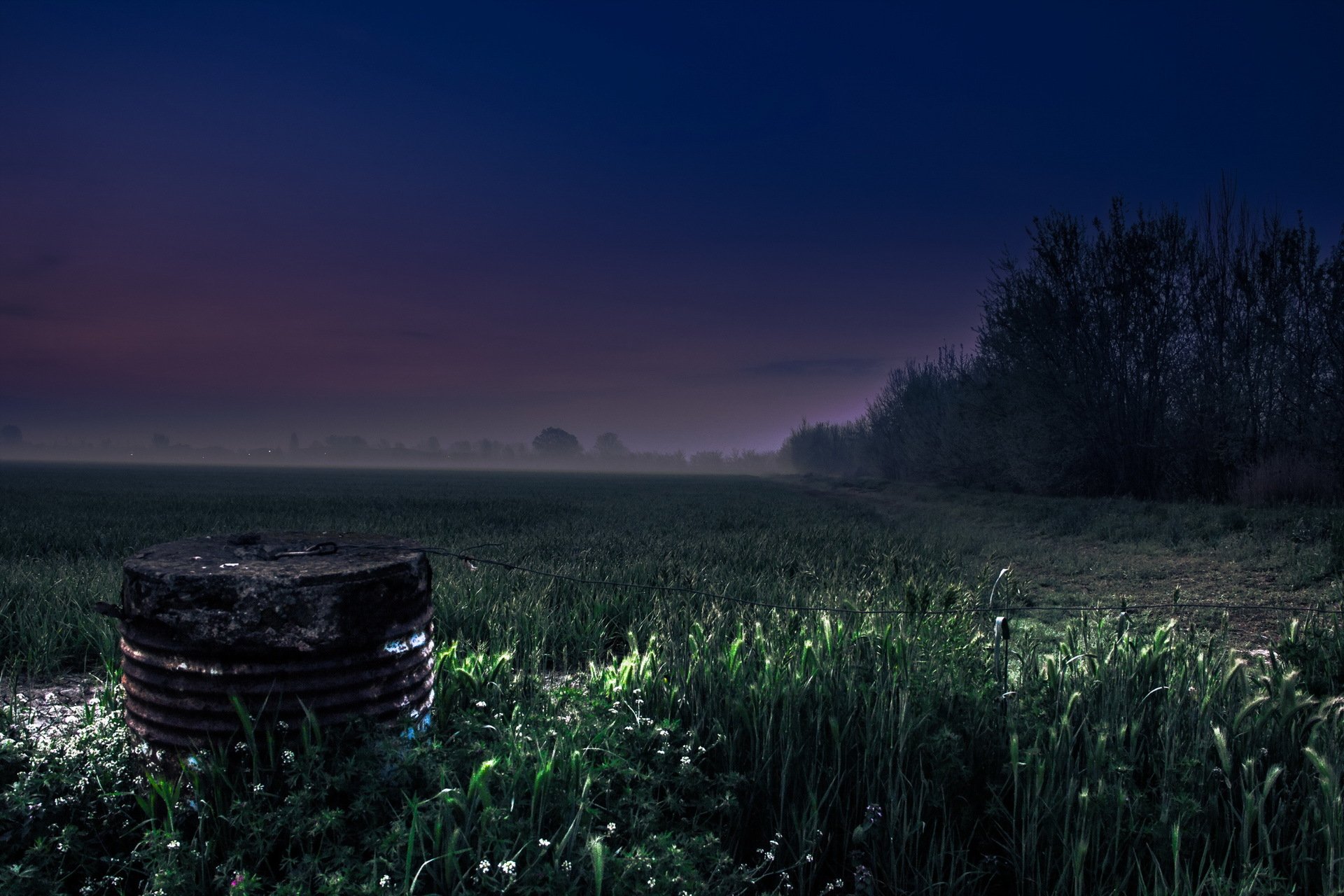 night the field fog landscape