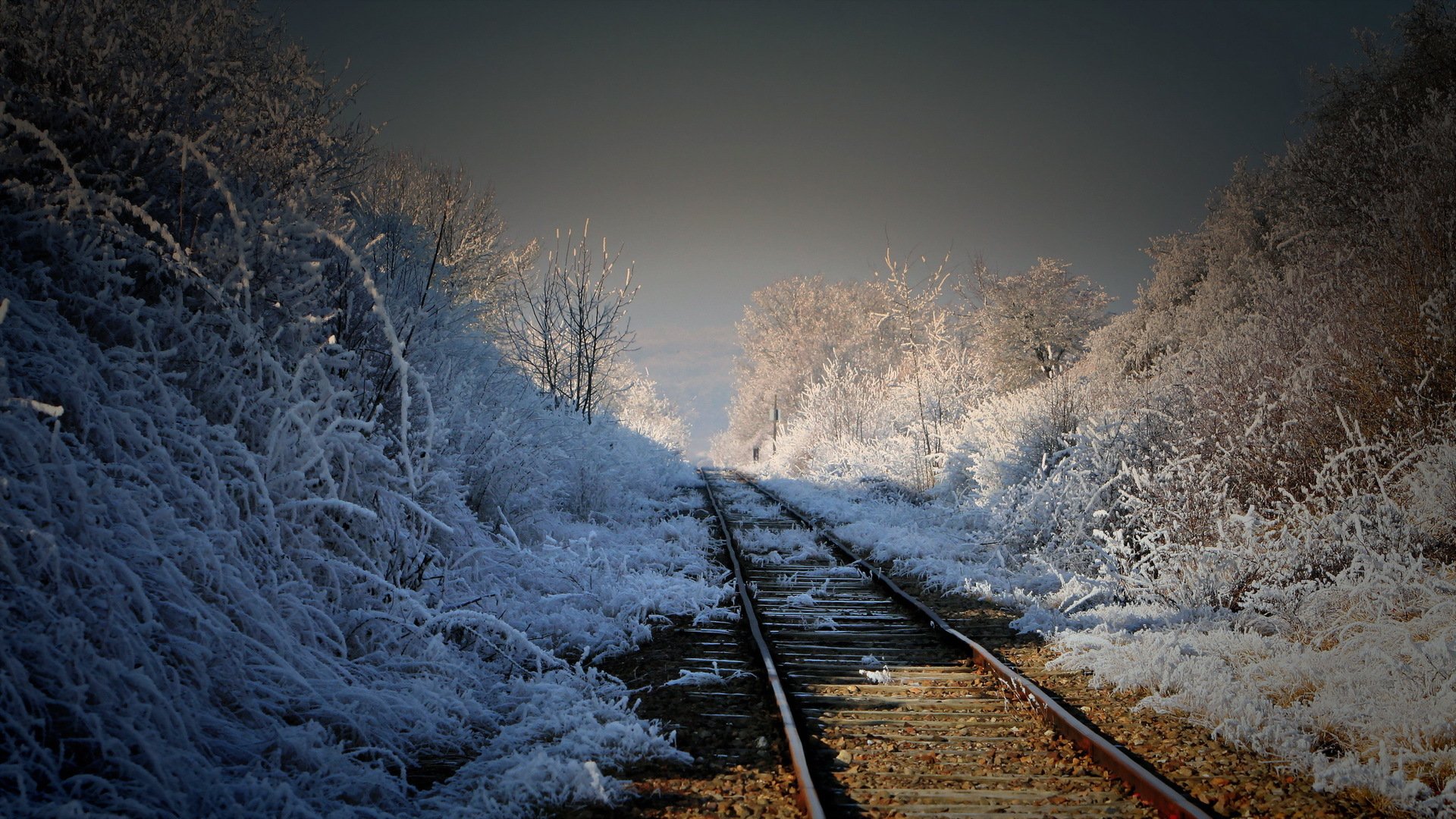 railroad morning nature landscape