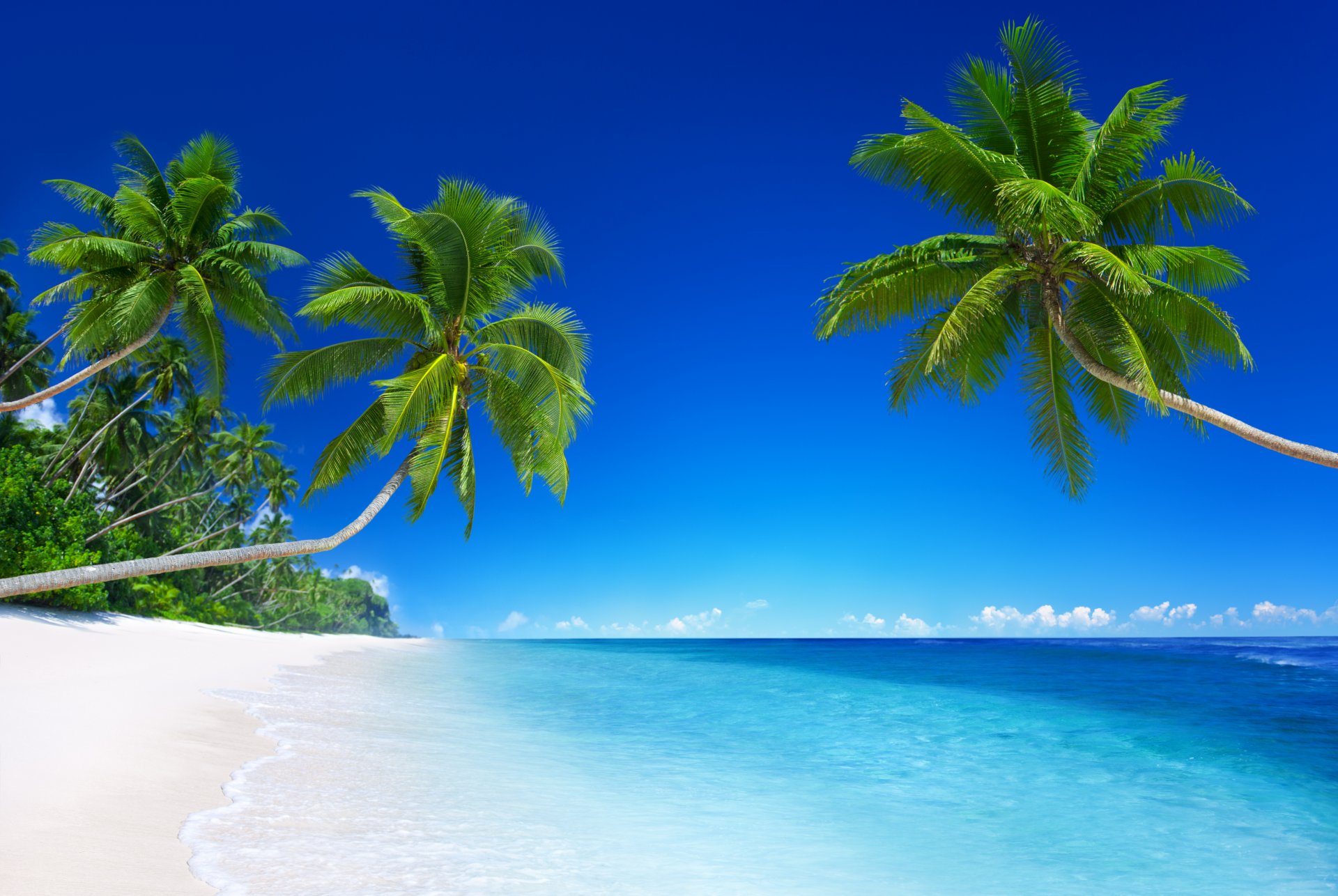 tropical paradise beach coast sea blue emerald ocean palm summer sand vacation tropics sun island shore