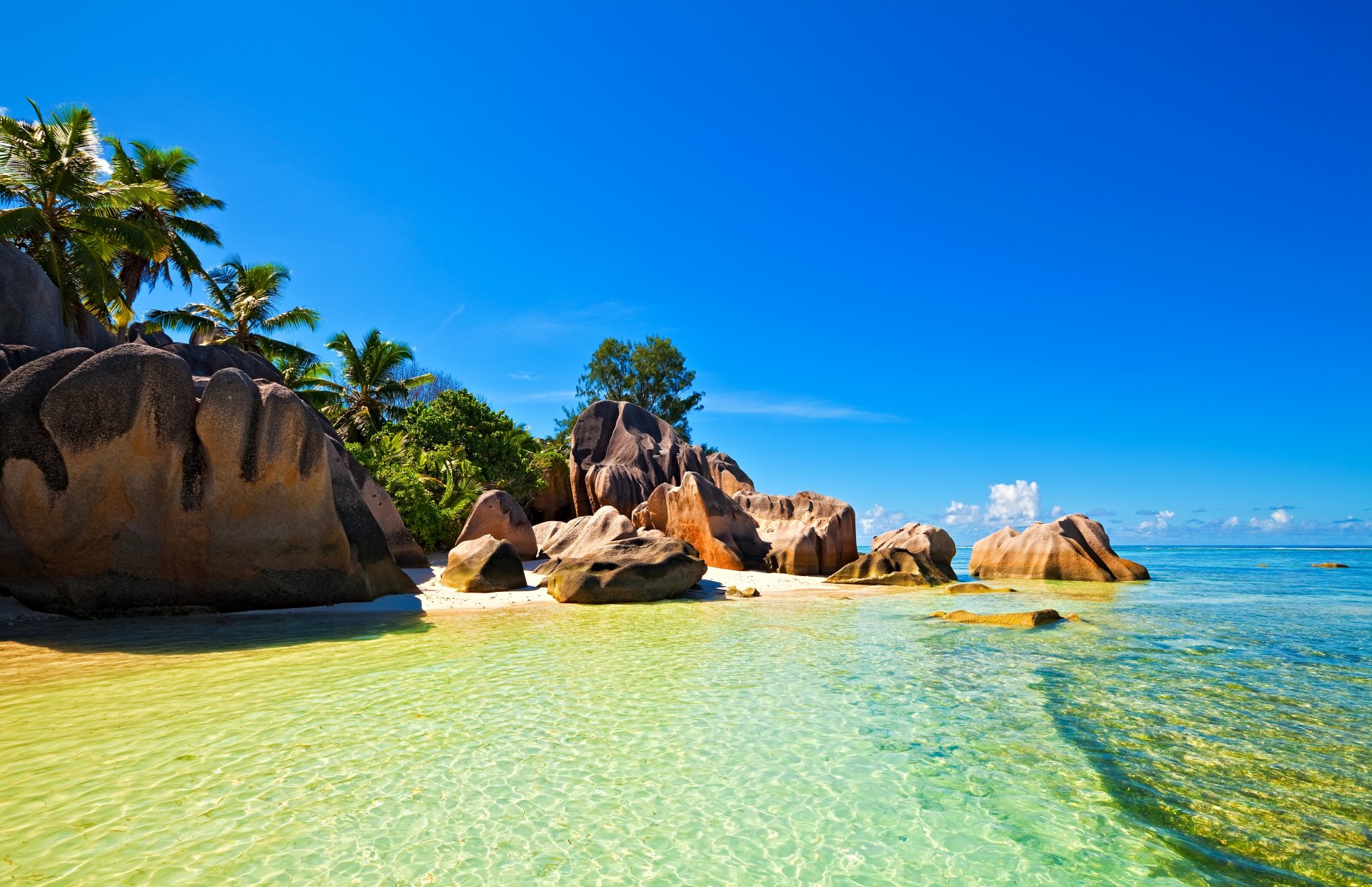 trópicos seychelles cielo mar océano isla palma piedras