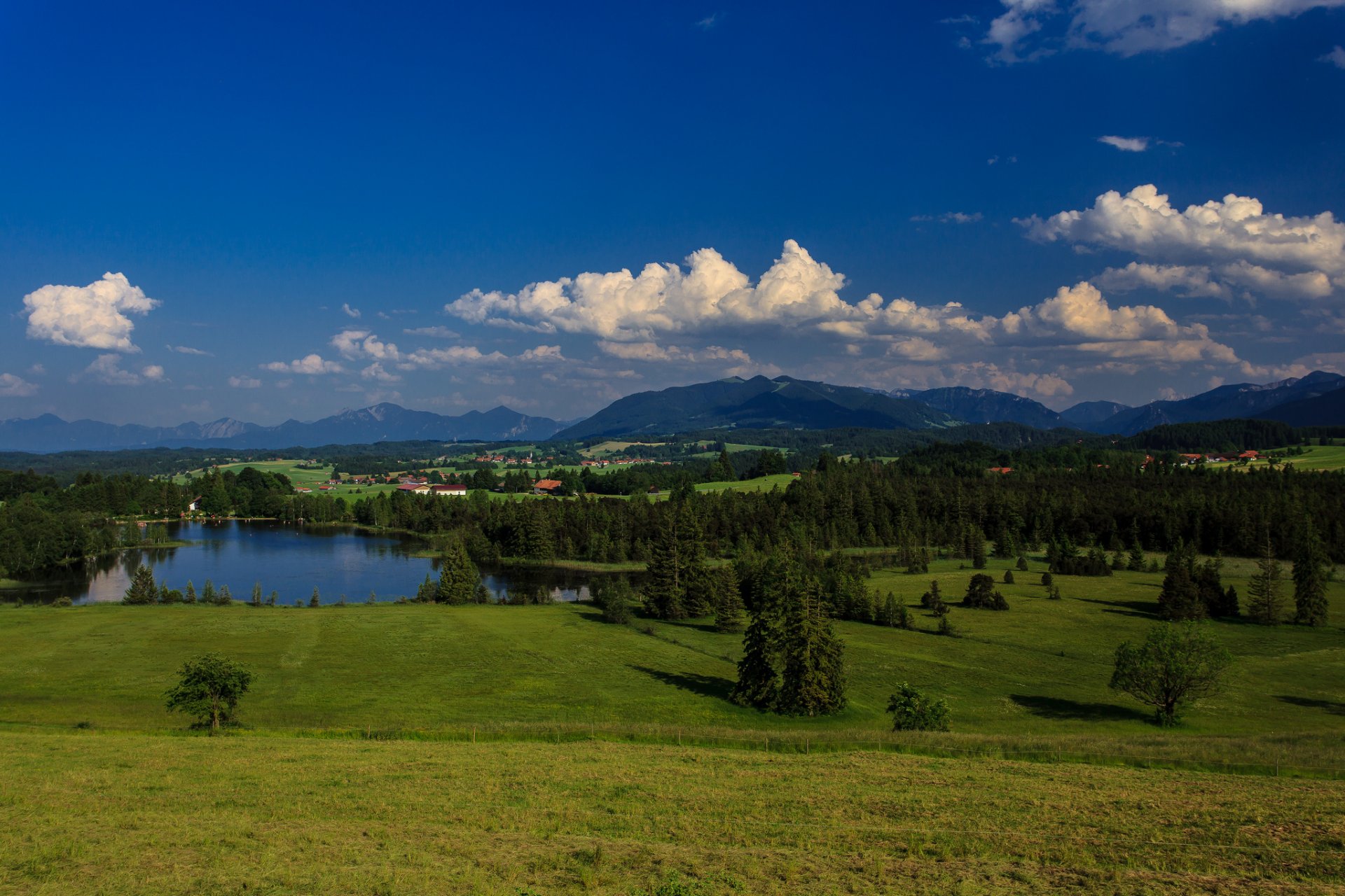 бавария германия озеро лес