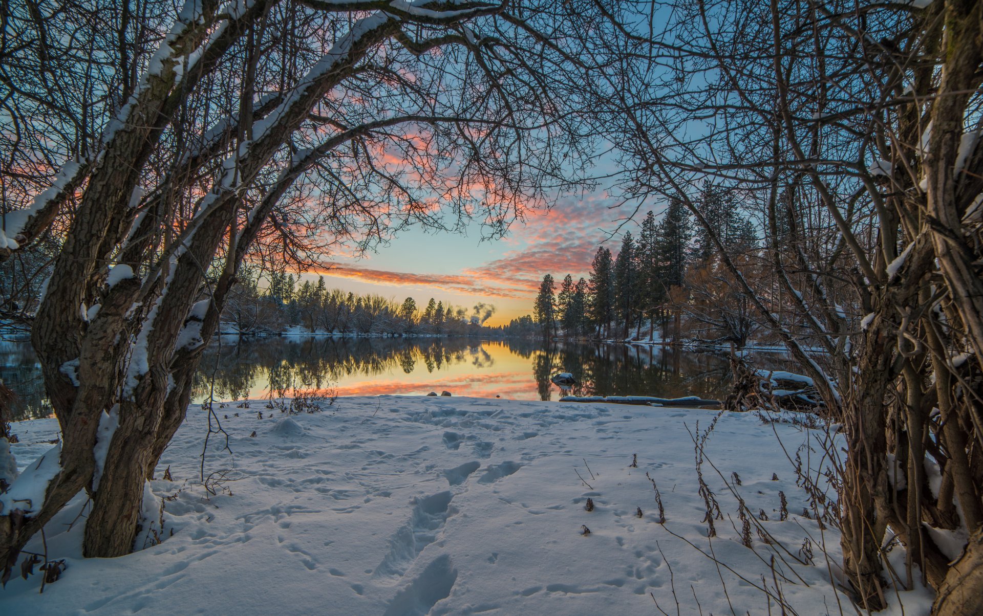 krajobraz natura śnieg zima ślady drzewa gałęzie niebo