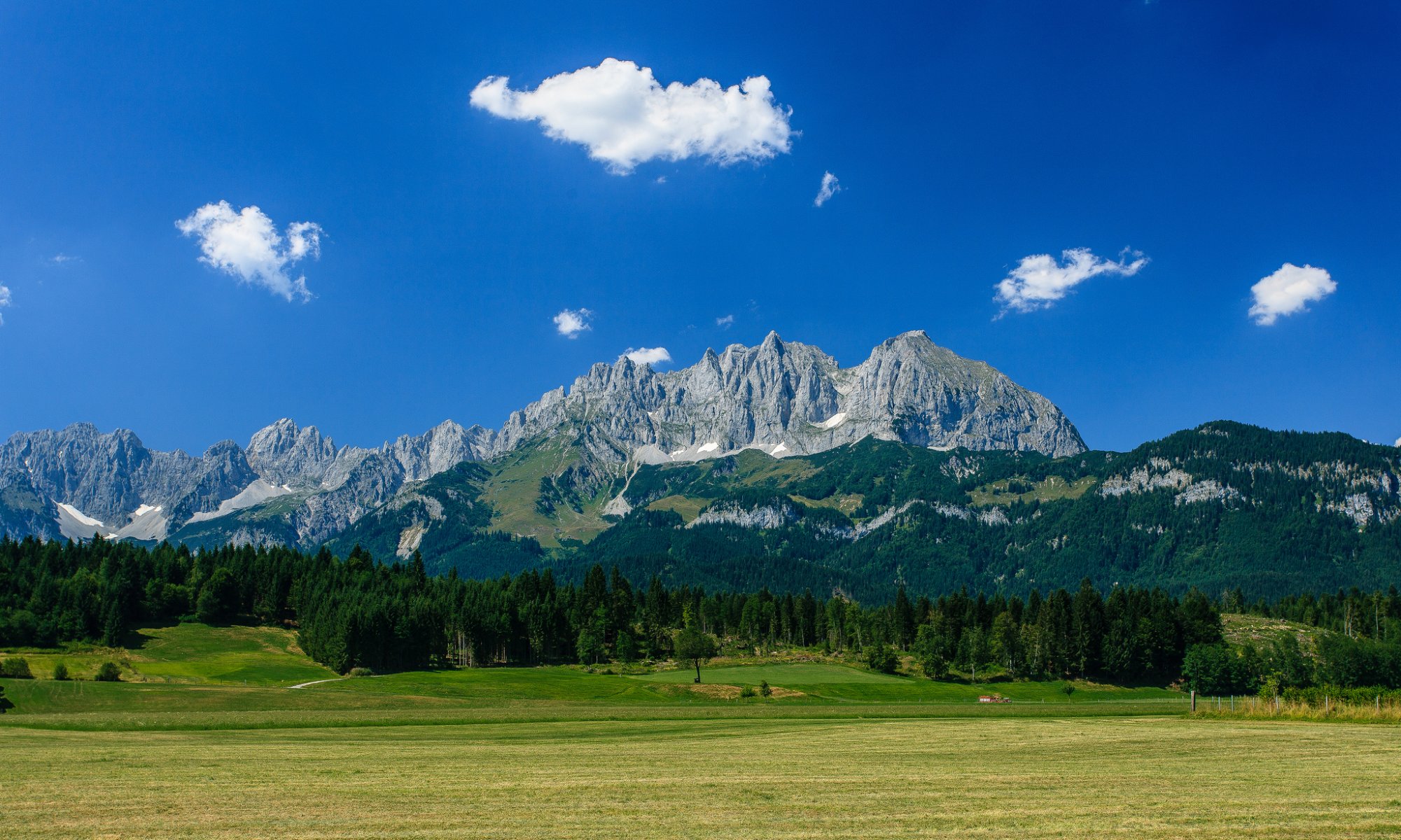 wilder kaiser austria alps mountain wilder kaiser mountain meadow forest