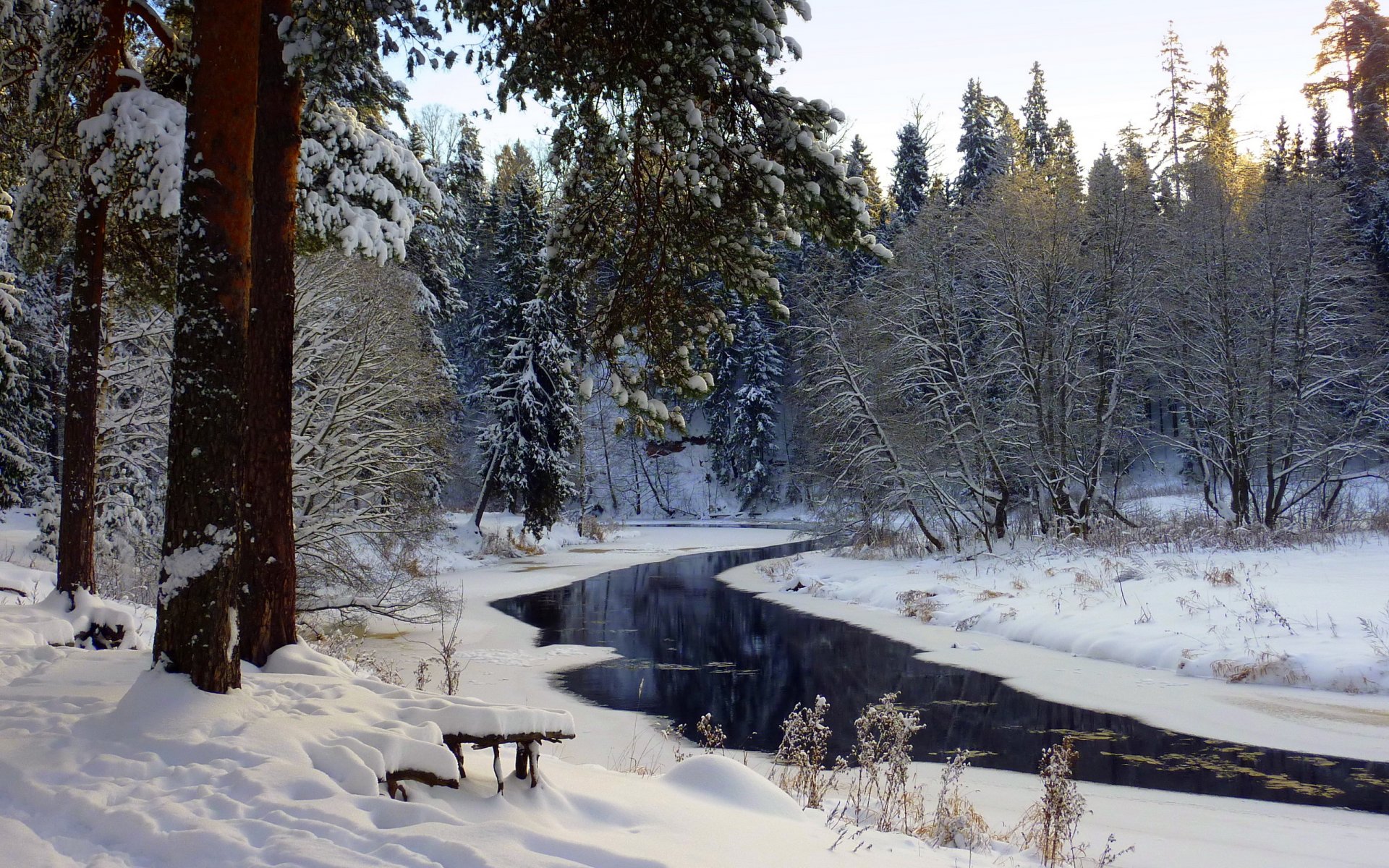 fluss wald winter