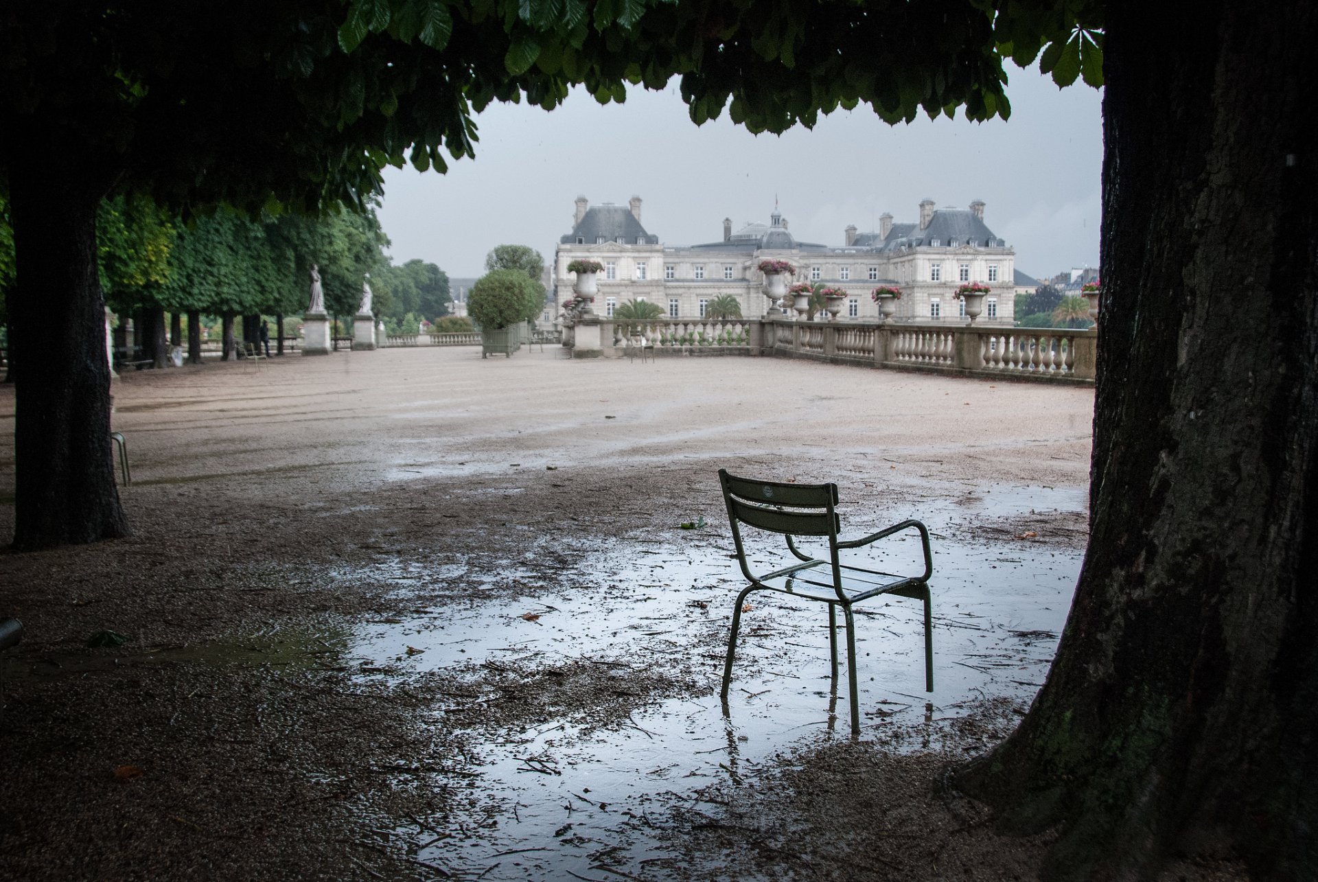 luxembourg terrasse arbres chaise flaque d eau après la pluie