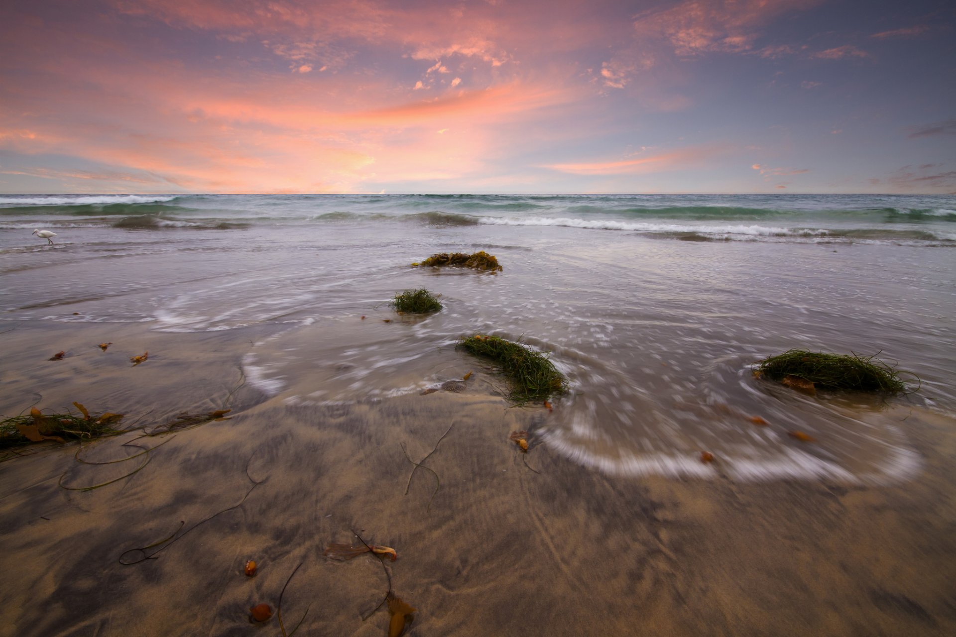 mer vagues plage sable algues