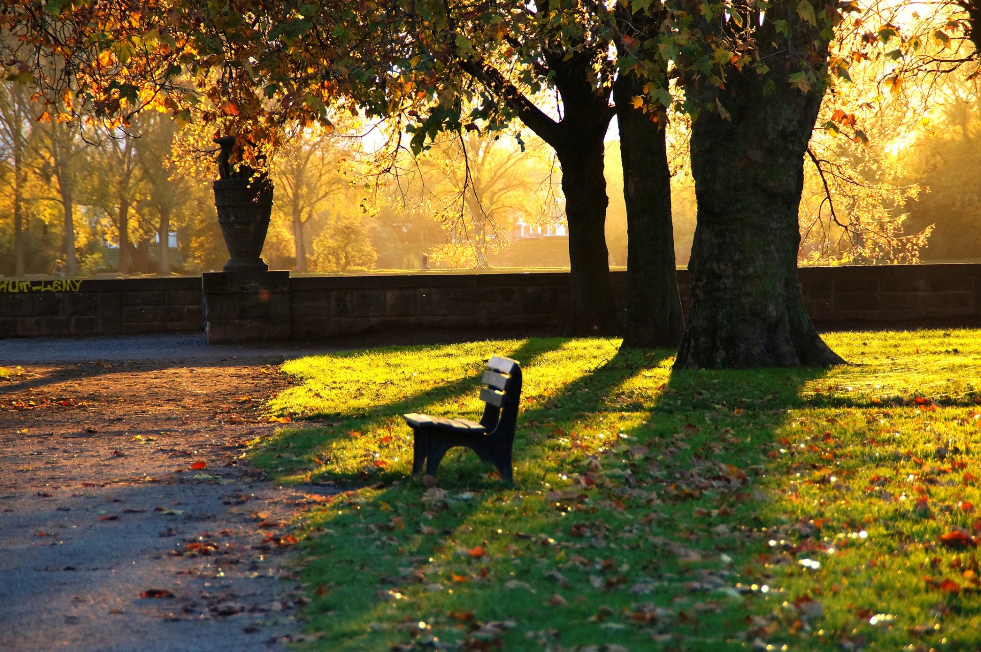 park bank herbst abend