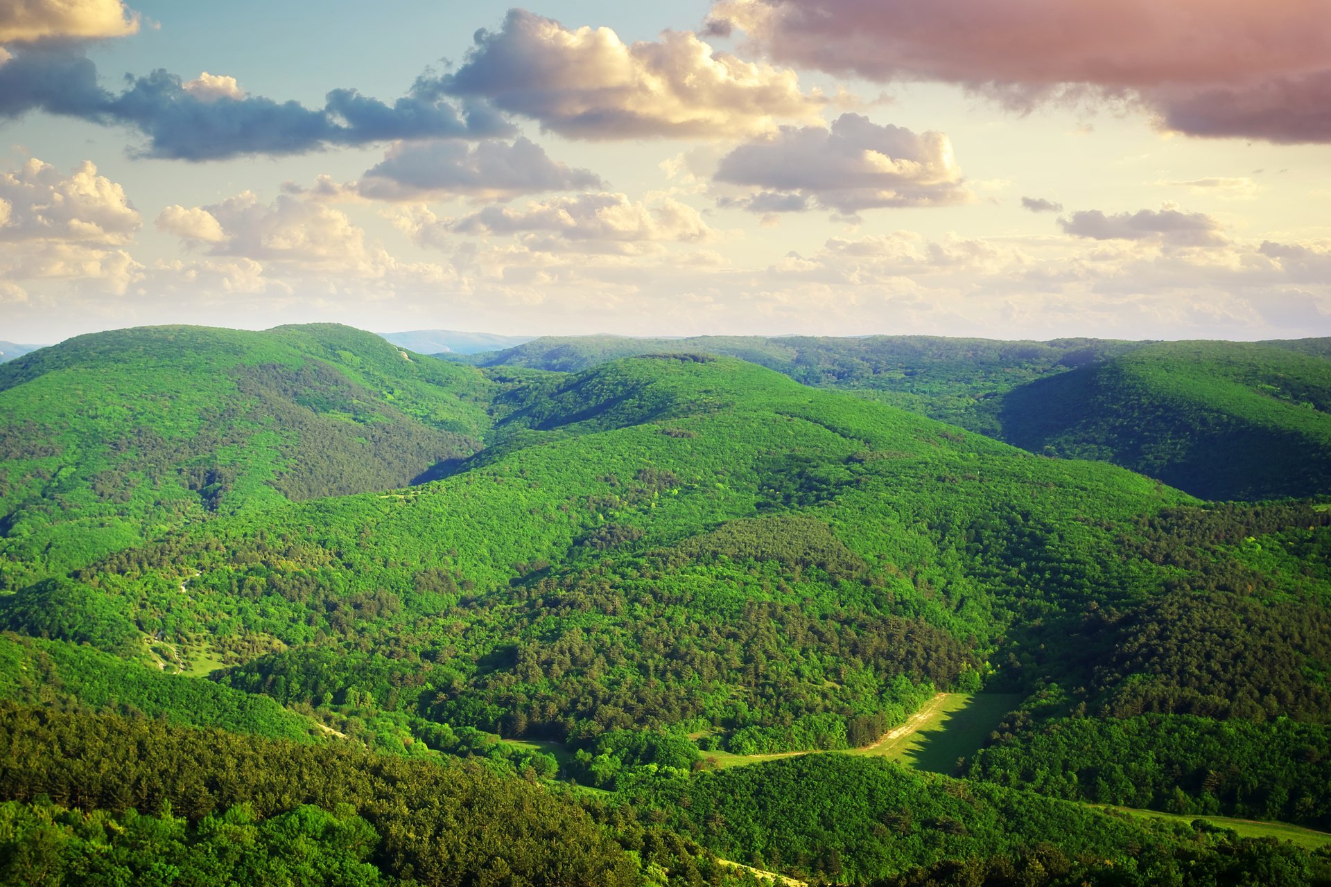 natur hügel grün bäume himmel wolken landschaft