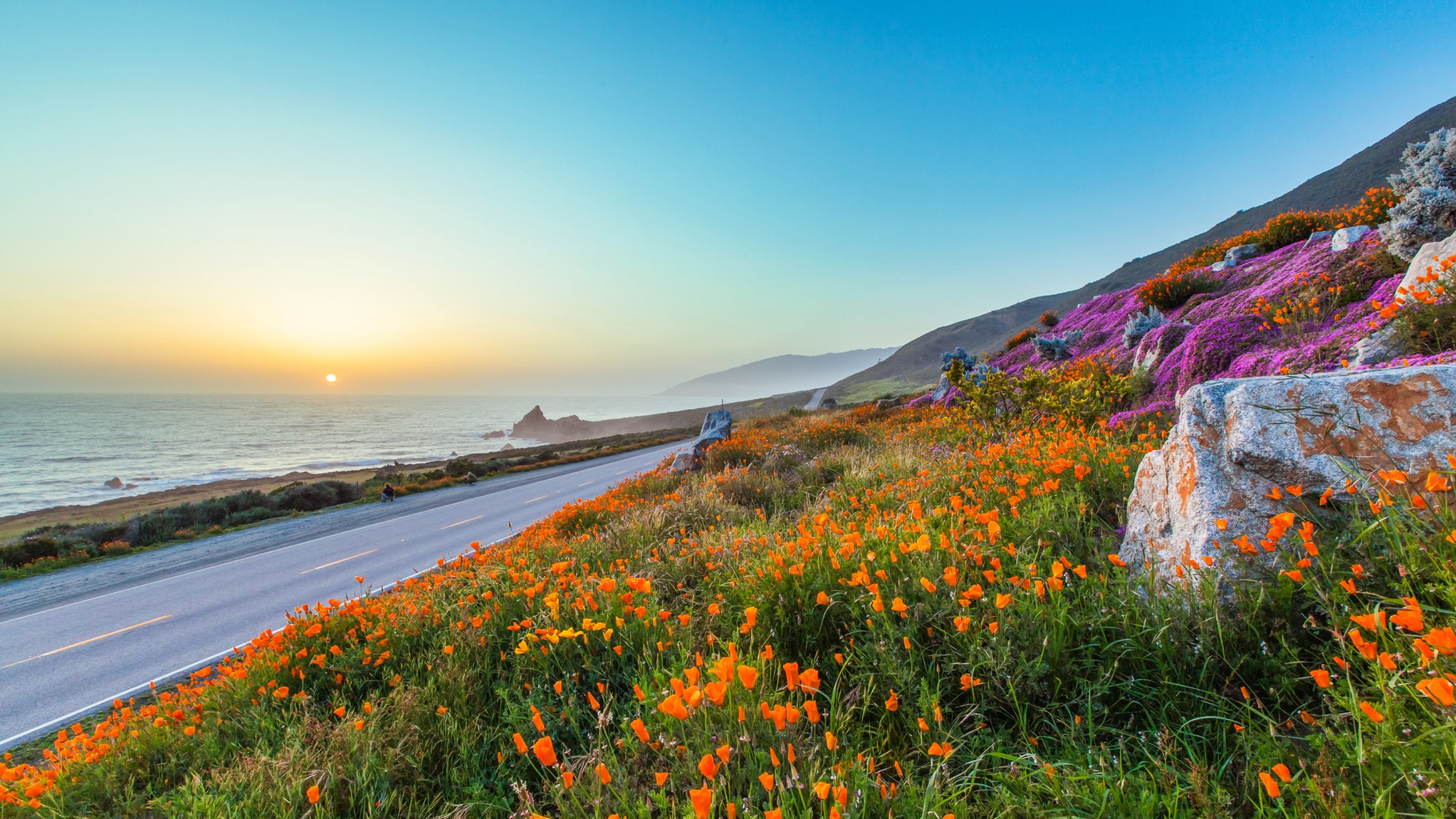 himmel abend sonnenuntergang straße blumen mohnblumen steine meer sonne berge