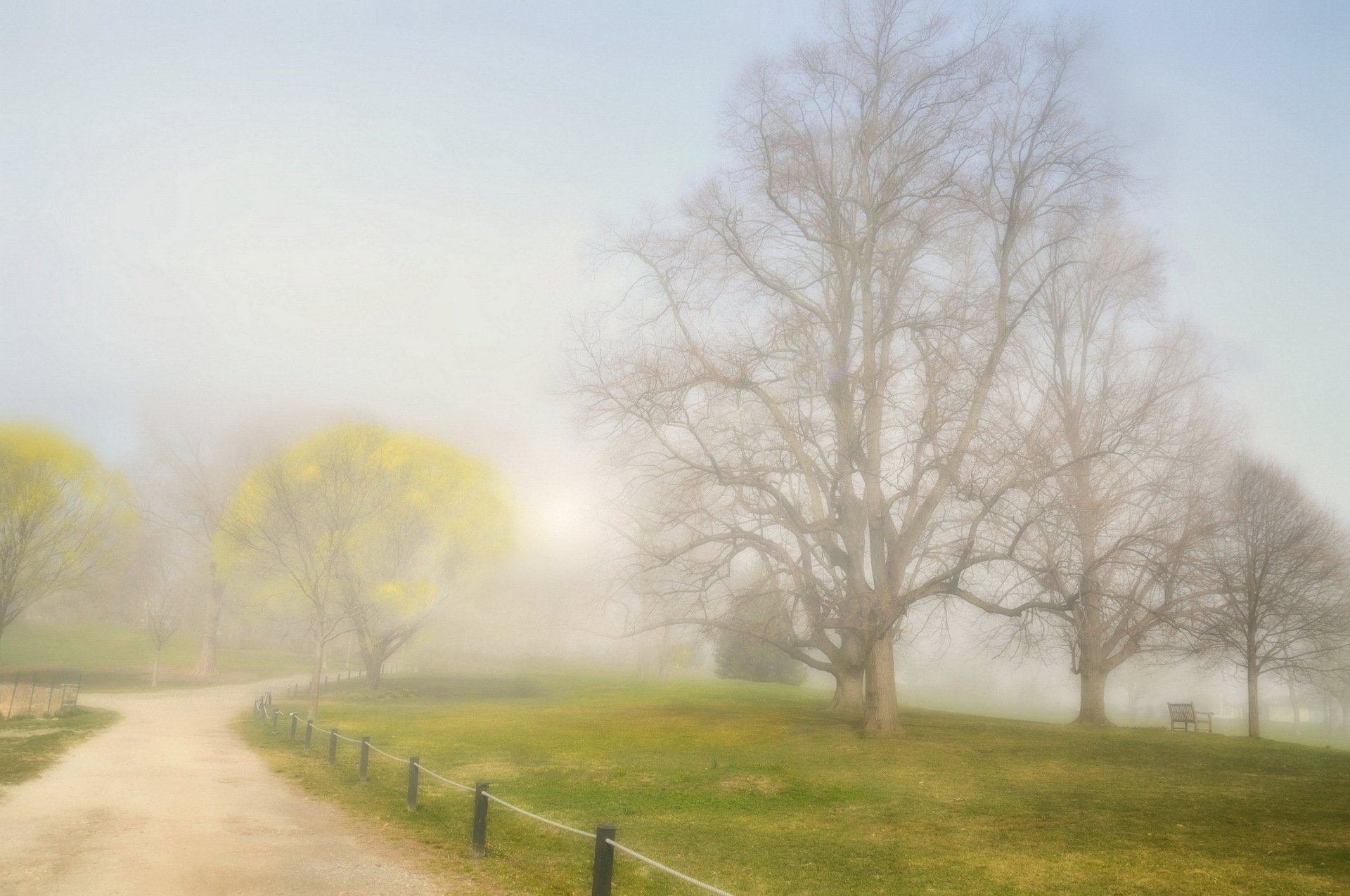 park road fog landscape