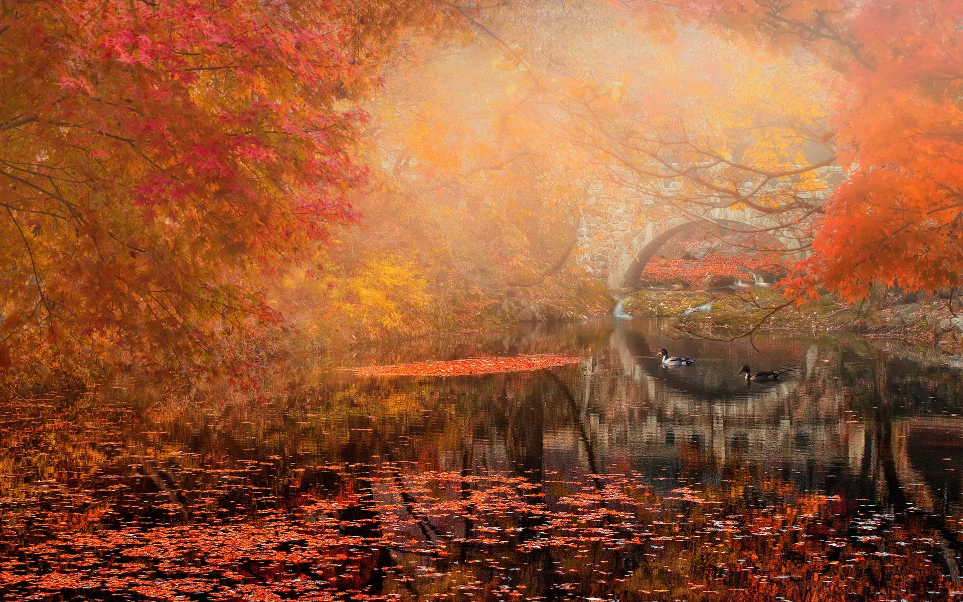 herbst park fluss brücke landschaft