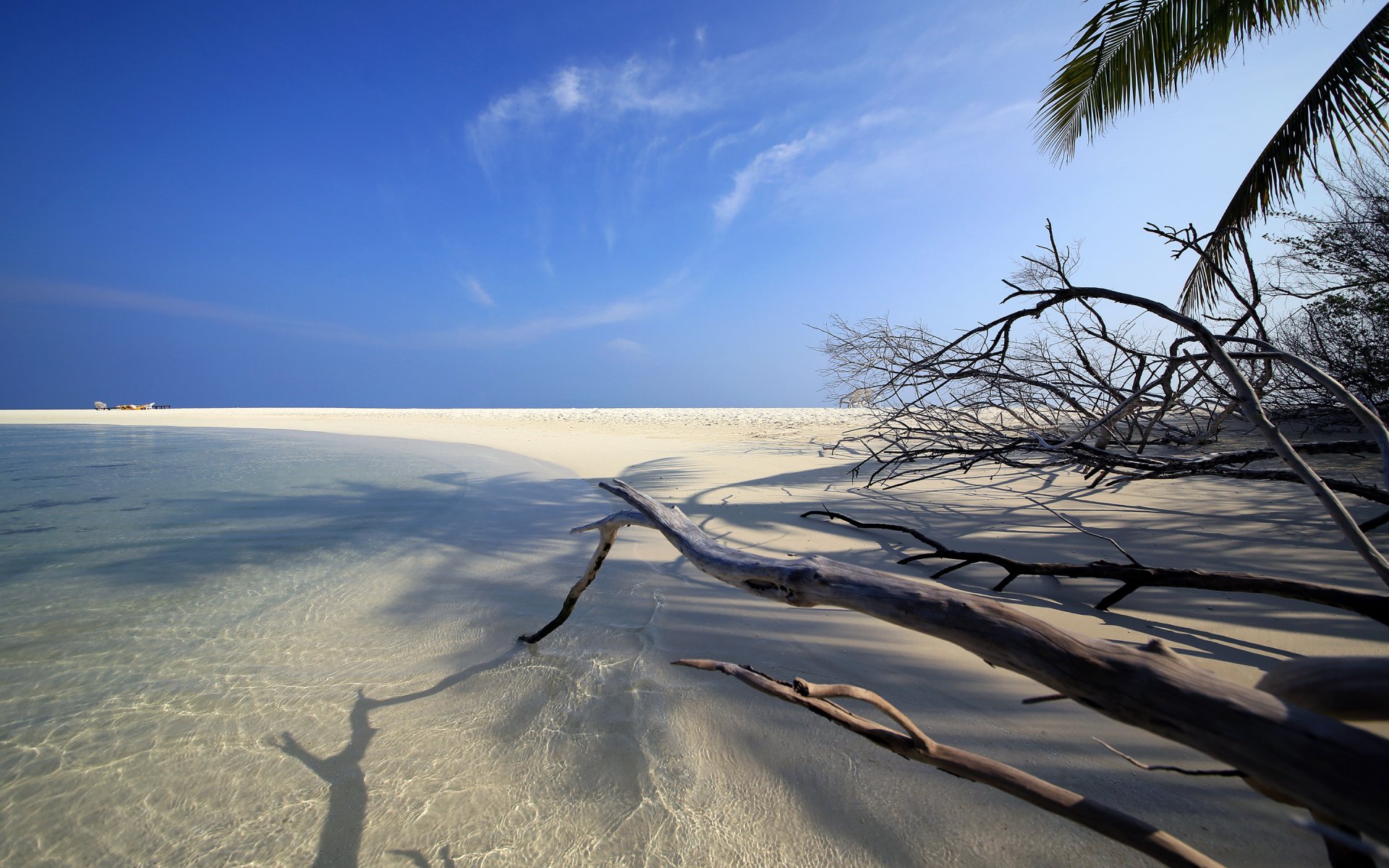 embudu malediven insel ozean küste strand sand zweige