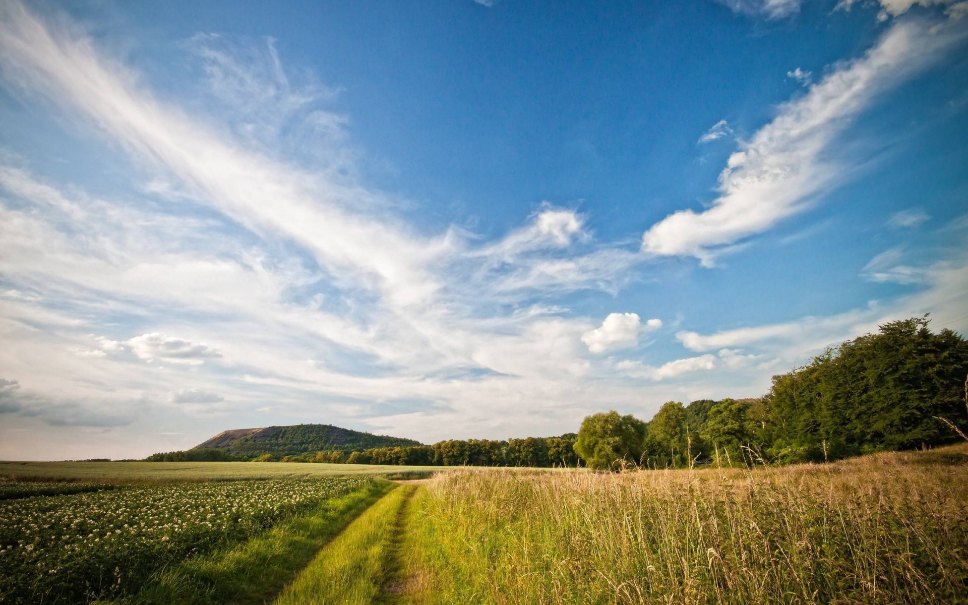 landschaft feld straße sommer horizont wolken landcsape