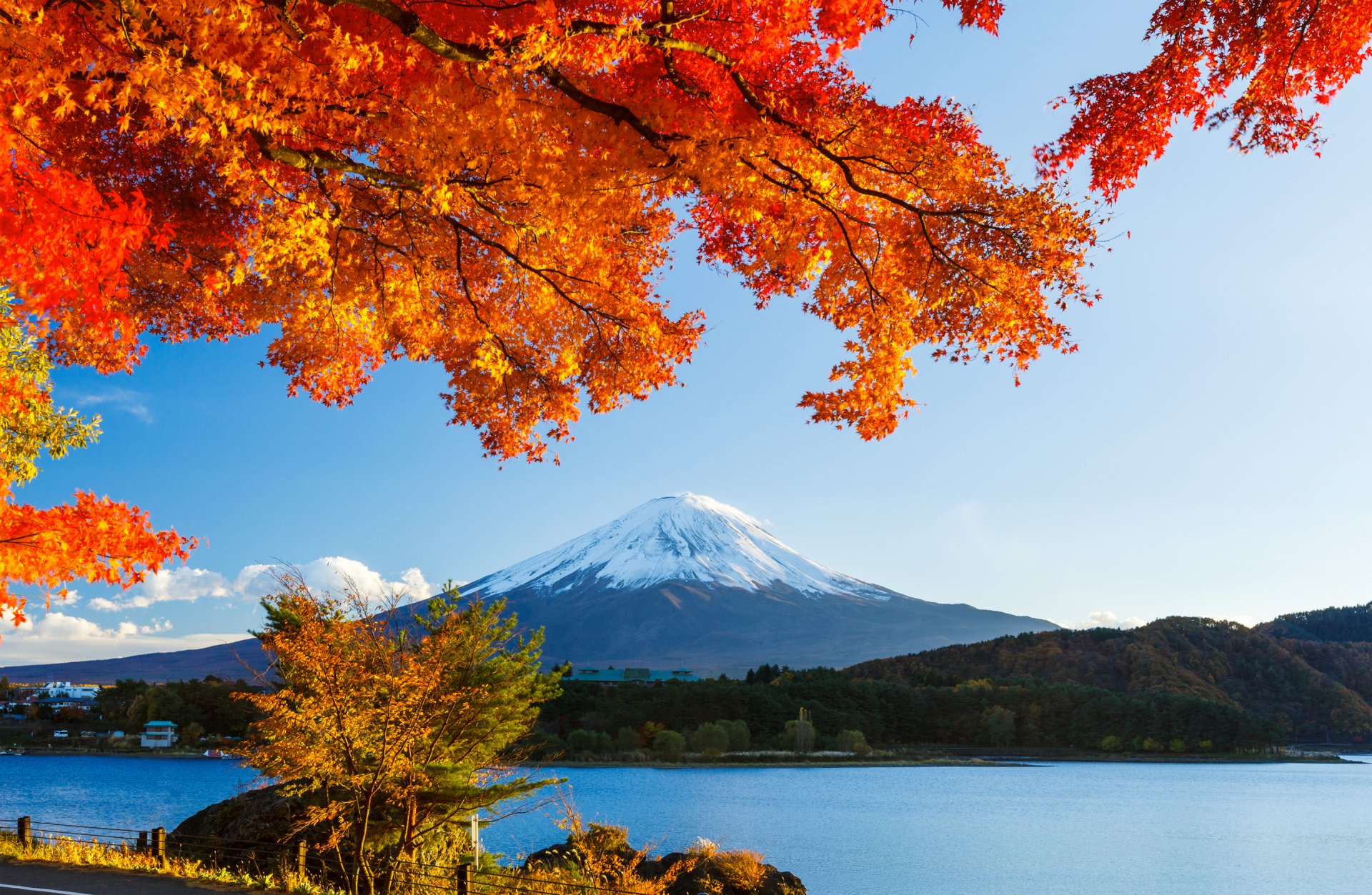 fujiyama japón montaña nieve cielo hojas otoño lago bosque árboles