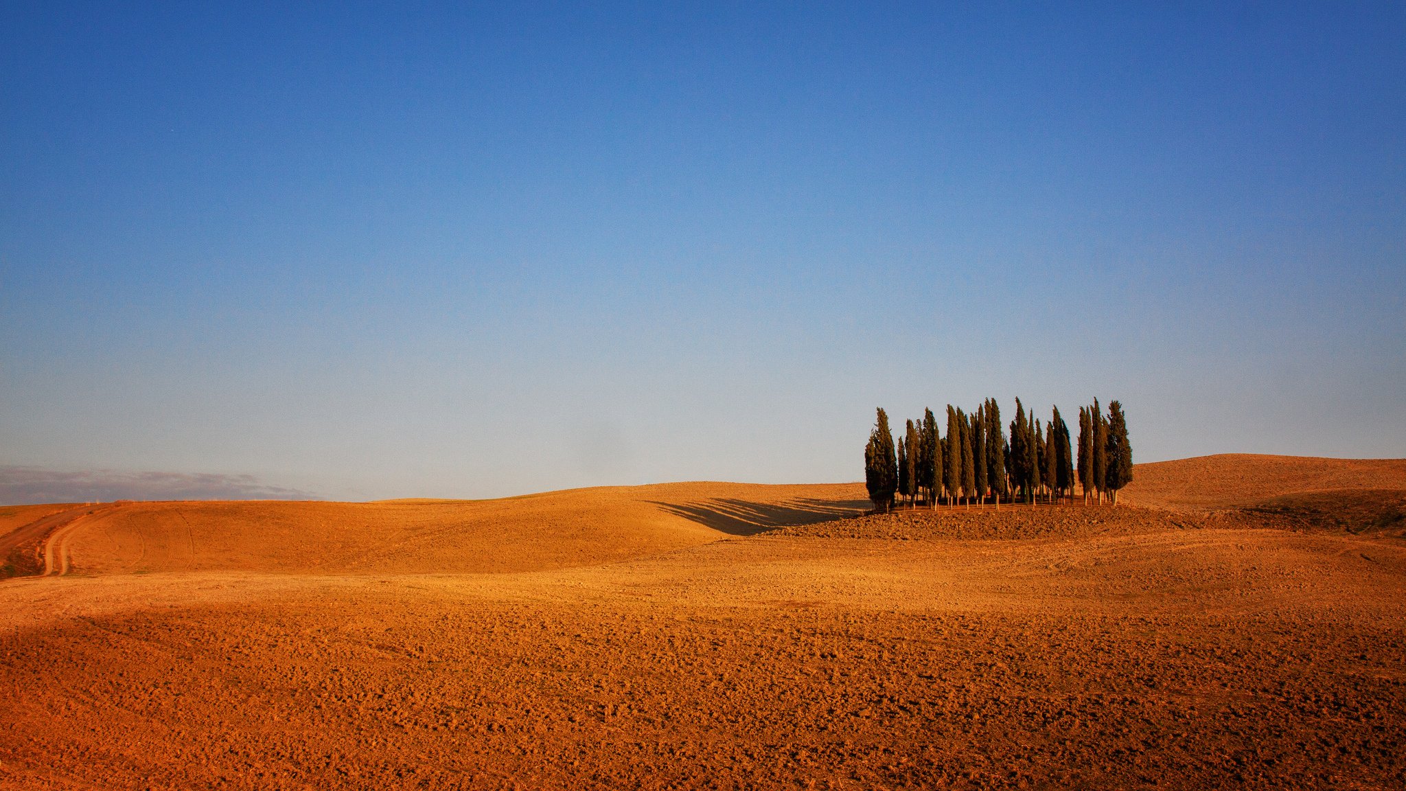 italia toscana arado árboles