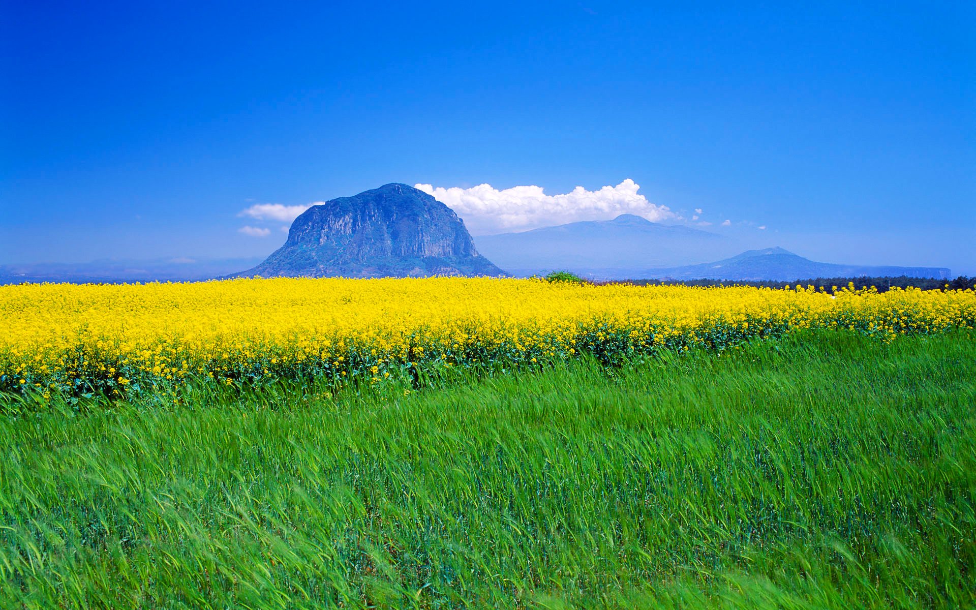 ky clouds mountain the field meadow flower