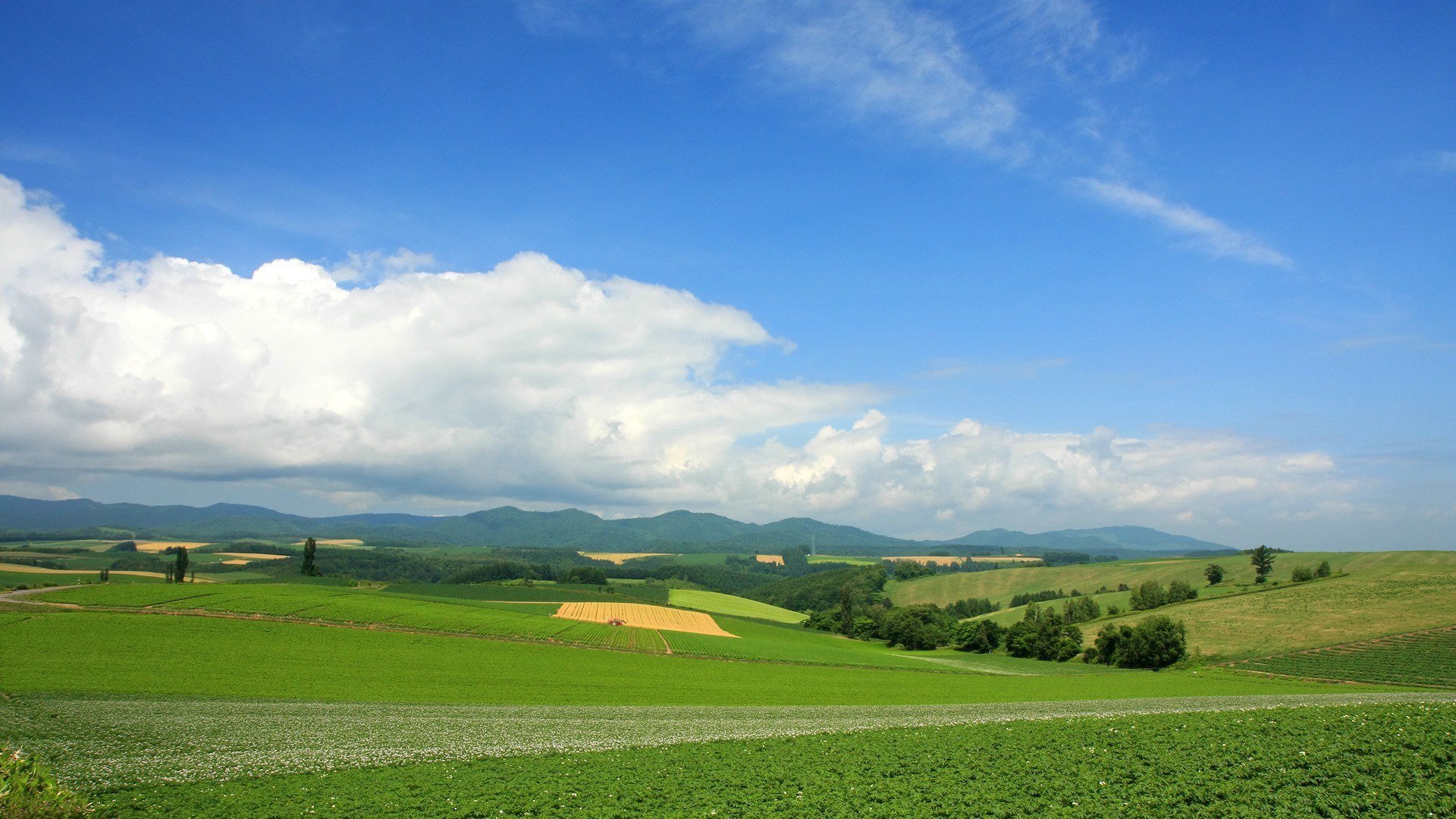 krajobraz lato zieleń chmury horyzont natura