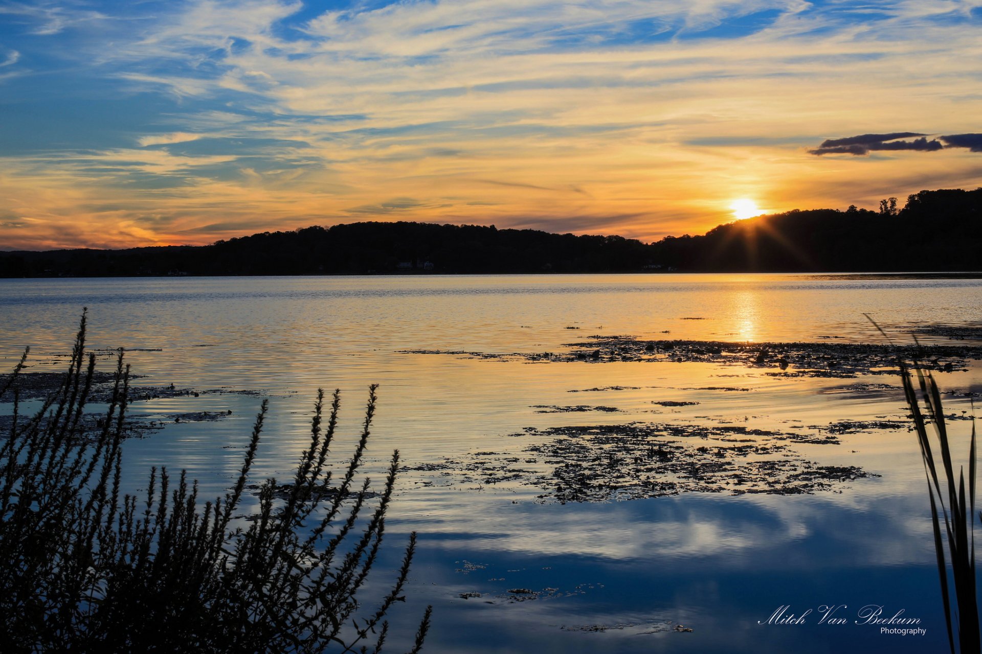 mitch van beekum bosque lago sol puesta de sol