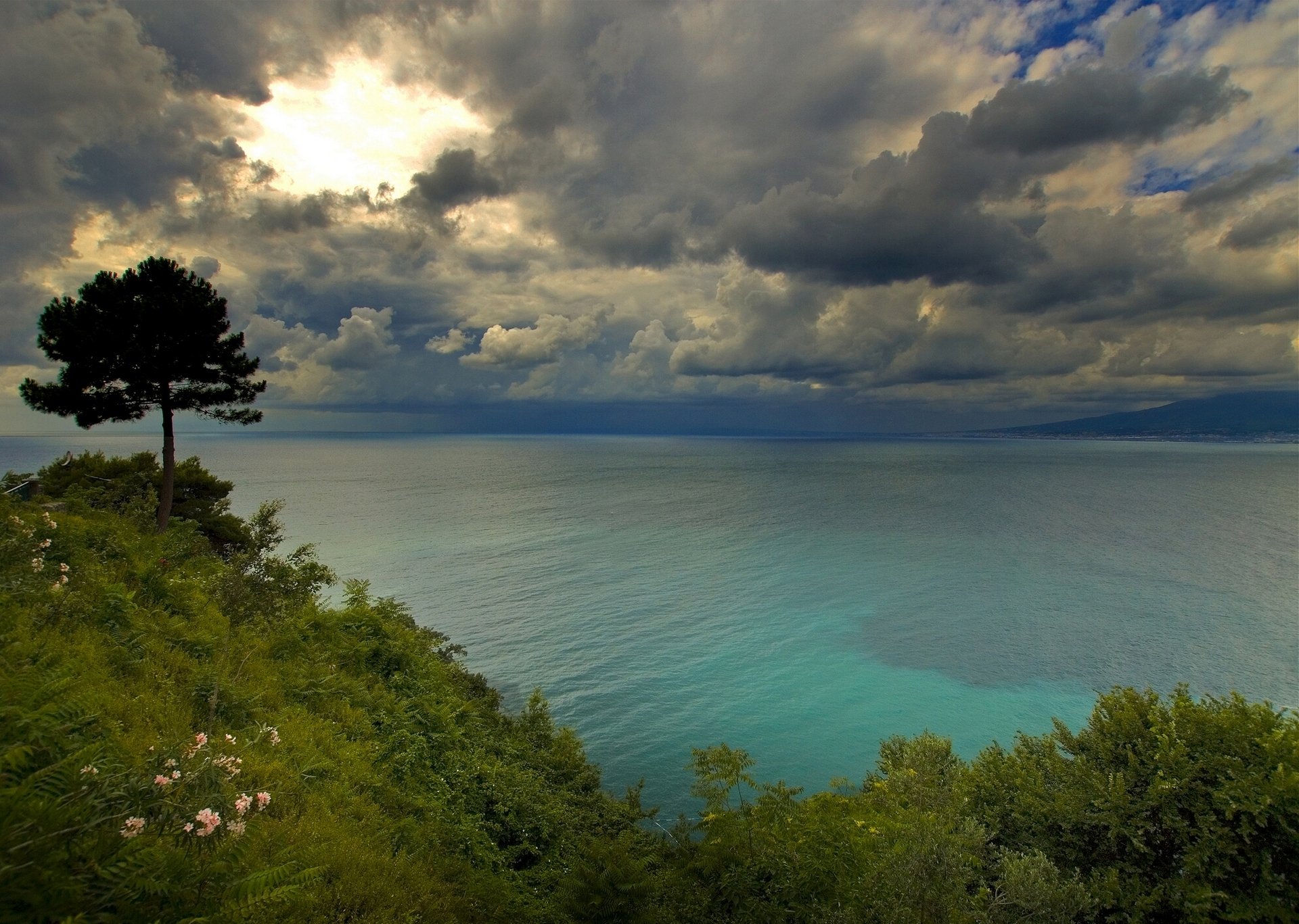 golfo di napoli italia golfo de nápoles nubes árbol costa