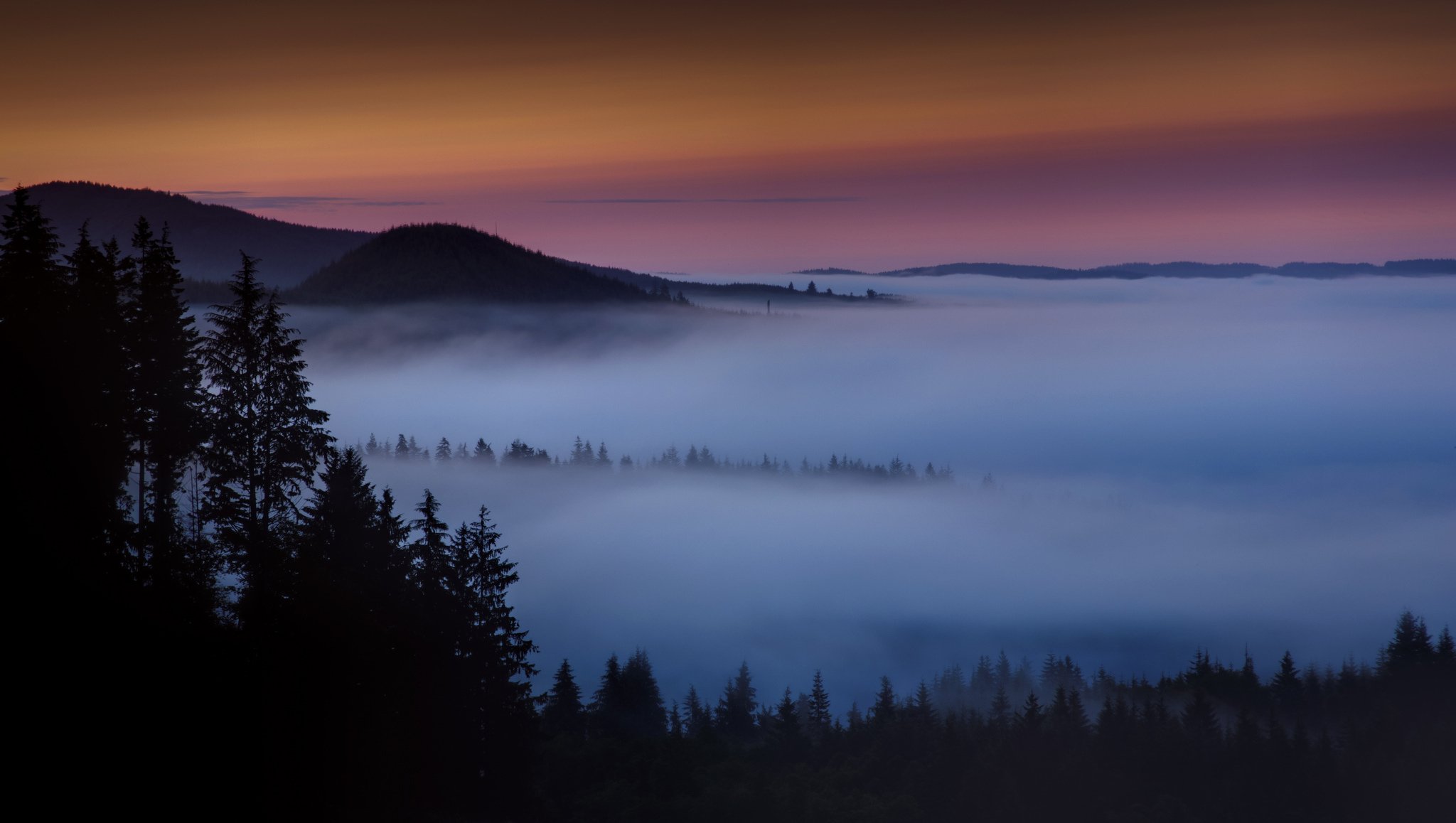 morgen morgendämmerung berge wald nebel dunst