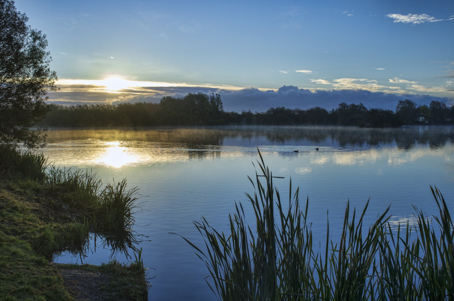 lago anatre riva erba alberi cielo sole tramonto nuvole