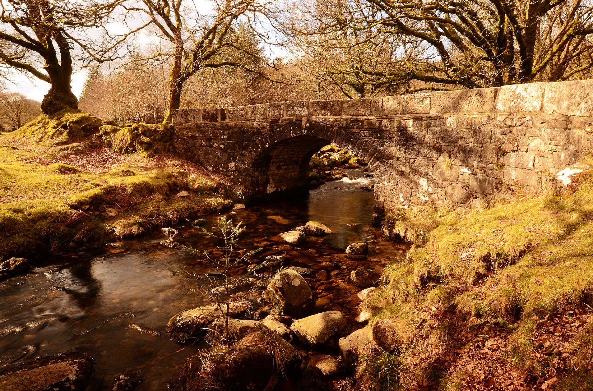 autumn park river bridge