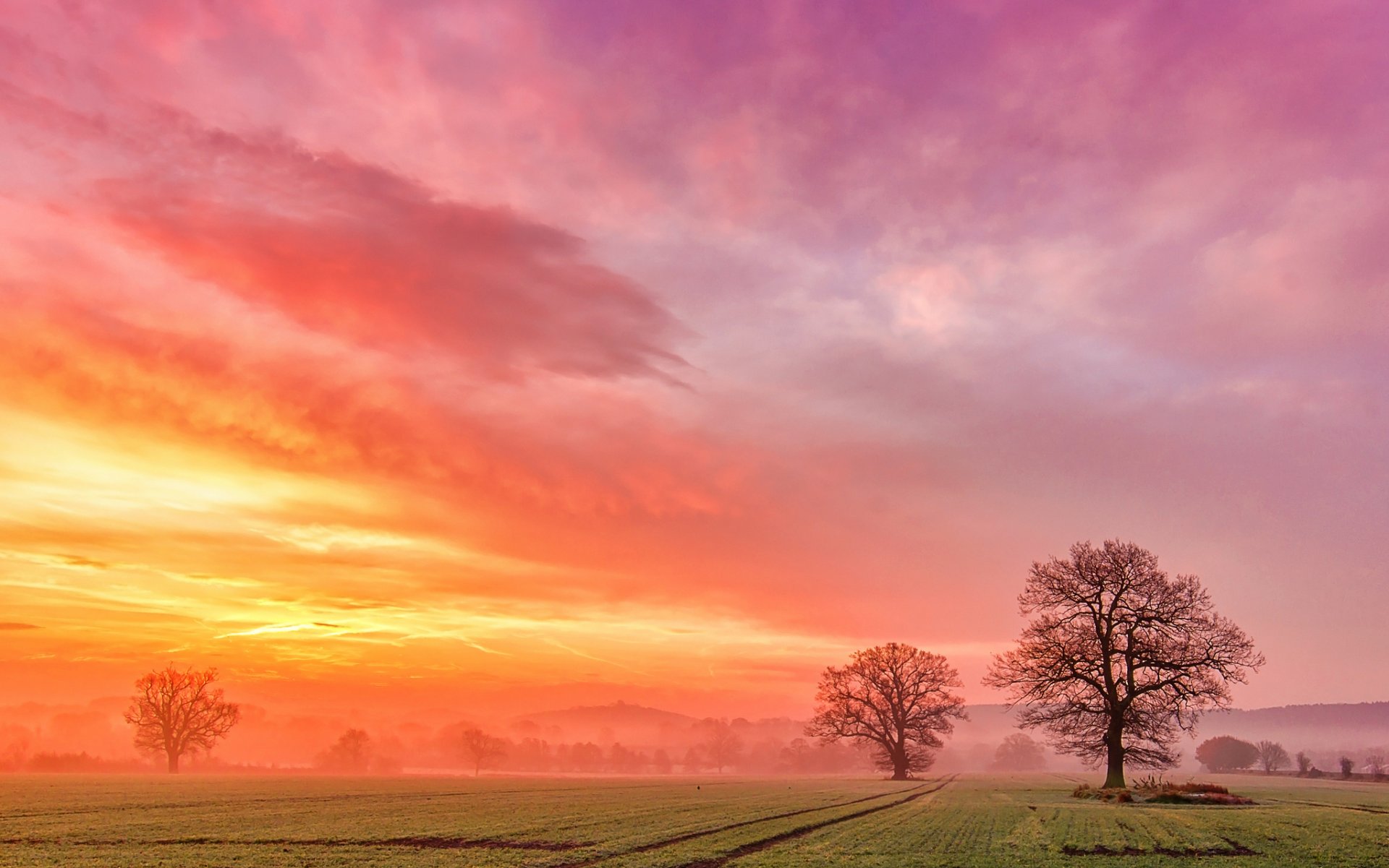 feld bäume nebel wolken dämmerung morgendämmerung