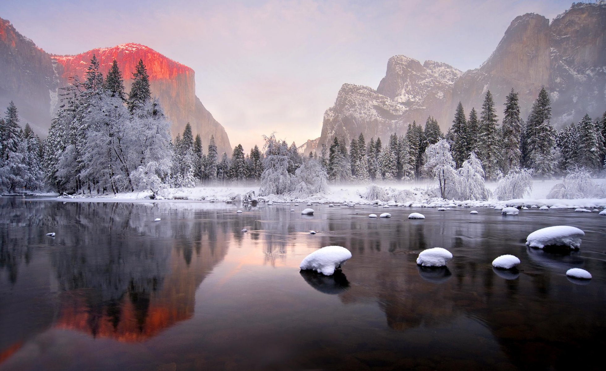 berge wald reflexion