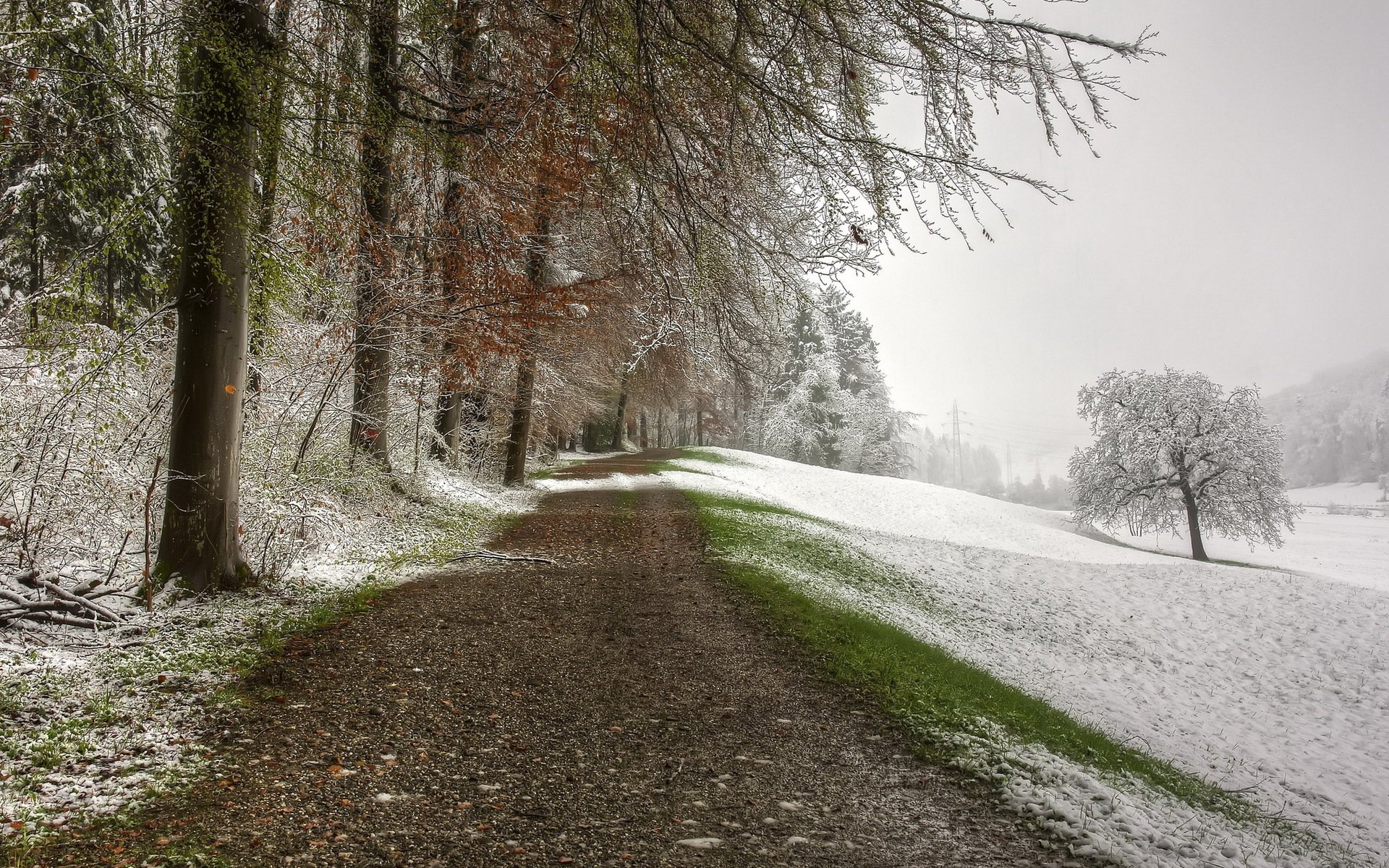 straße schnee natur landschaft