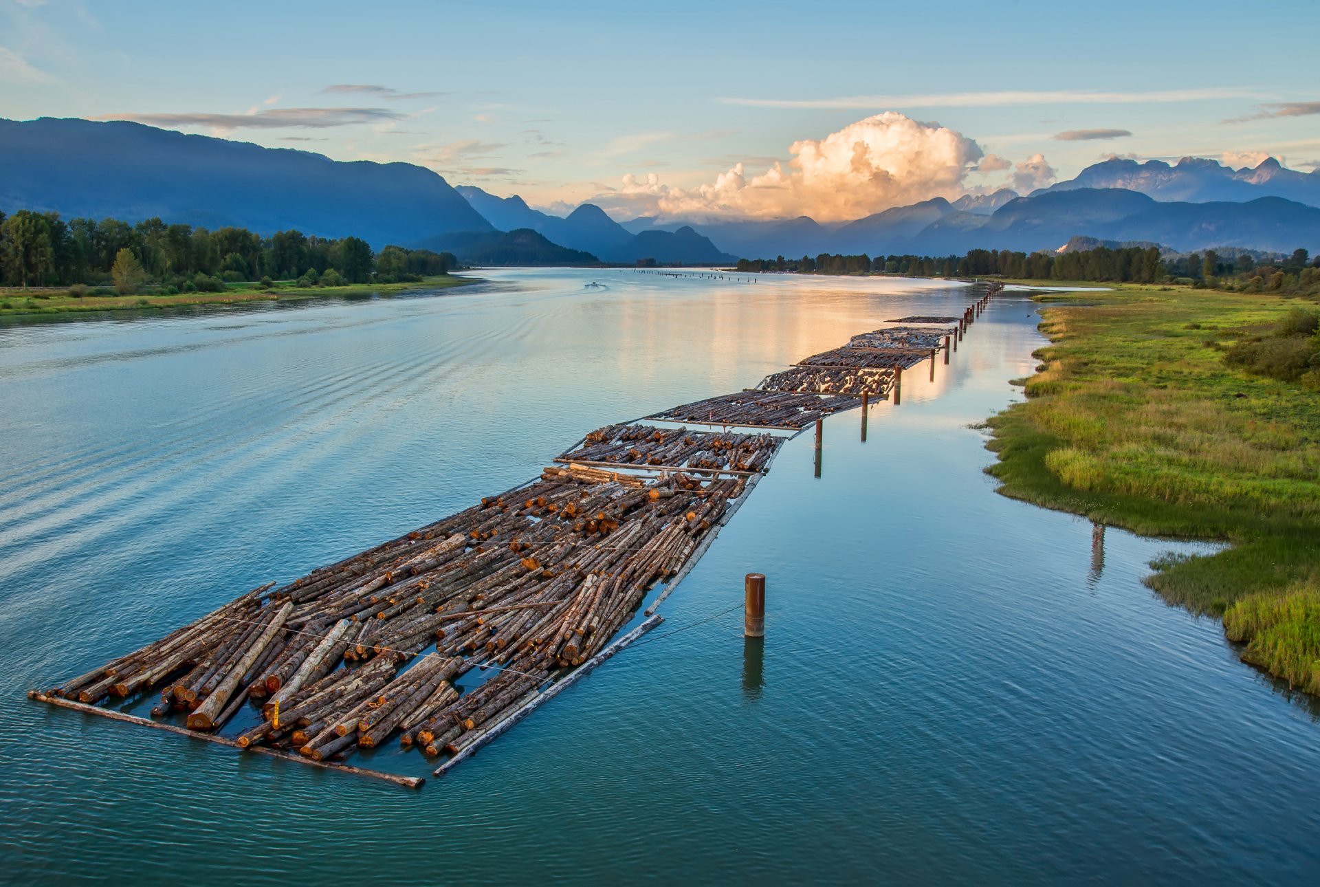 columbia británica canadá montañas bosque árboles río troncos rafting cielo nubes