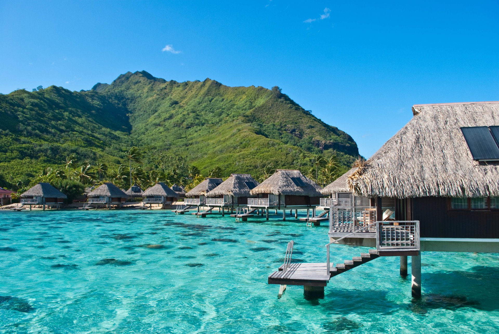 océan bungalow exotique moorea polynésie française