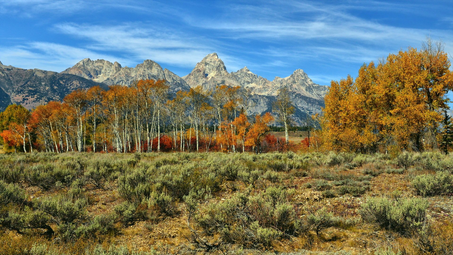 montañas árboles otoño paisaje