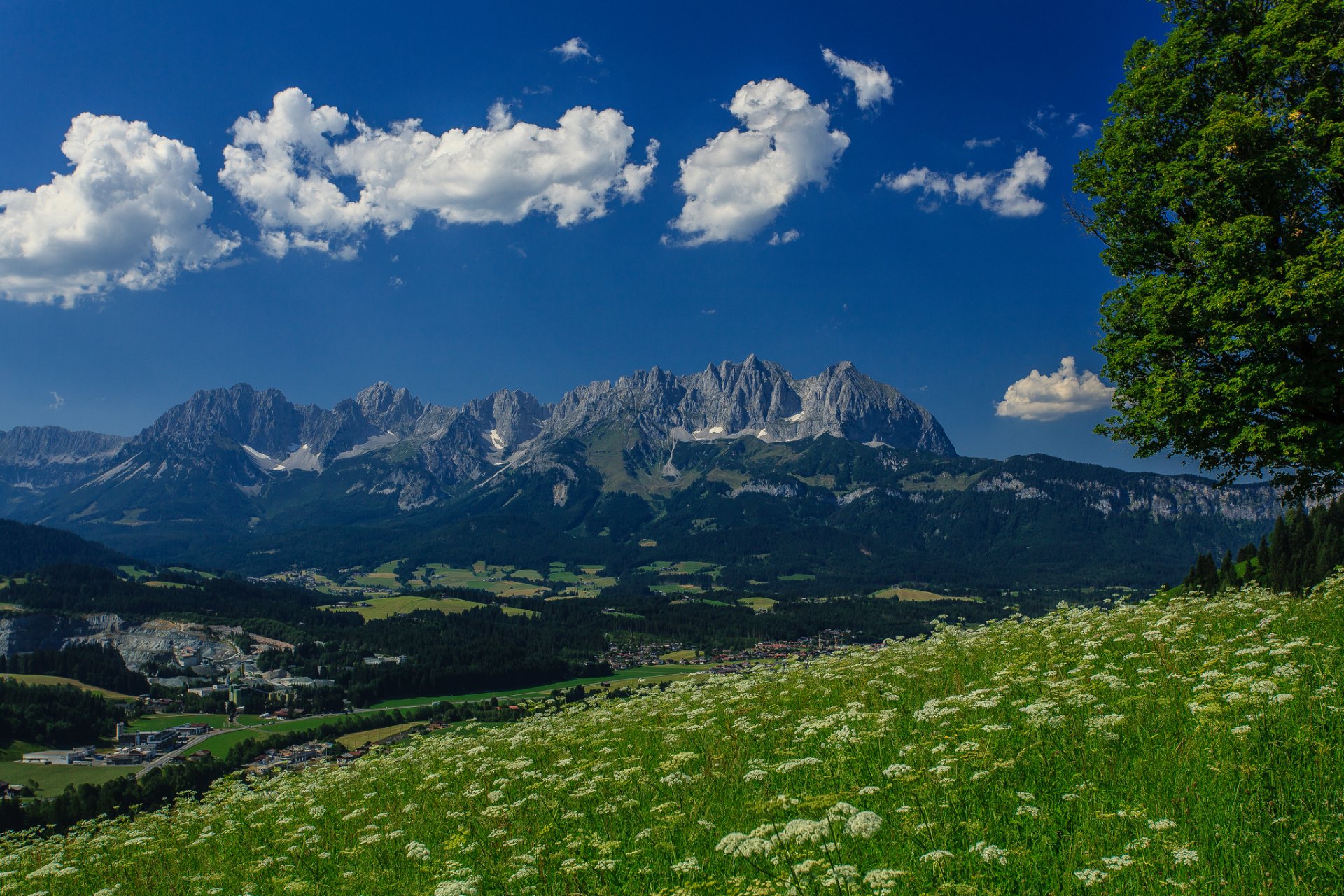 wilder kaiser austria alpy góra wilder kaiser panorama drzewo łąka góry