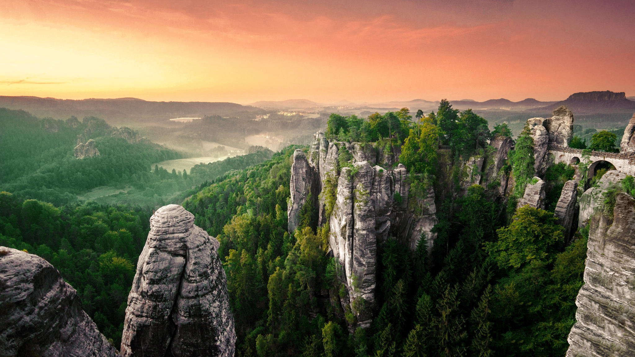 paesaggio foresta panorama foschia rocce